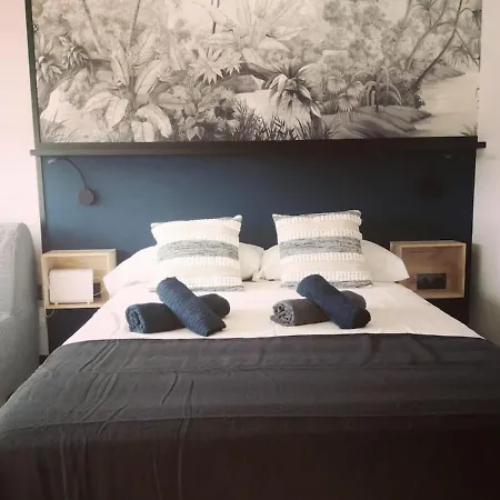 H2m Andres Perez Loft En Casco Historico 公寓 *